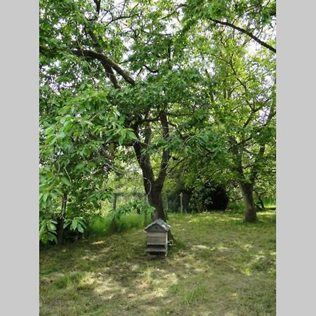 Miller'S Farm. Cottage On The Auhtie For 2 Hem-Hardinval Εξωτερικό φωτογραφία