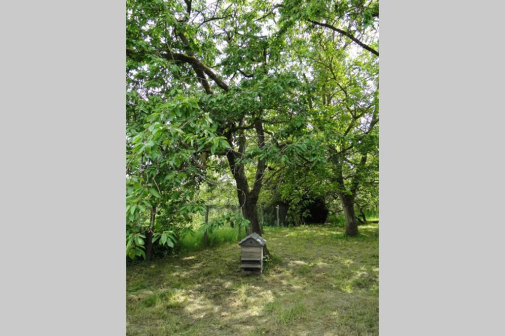 Miller'S Farm. Cottage On The Auhtie For 2 Hem-Hardinval Εξωτερικό φωτογραφία